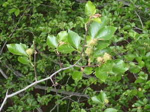 2013-05-21 15.05.39.jpg