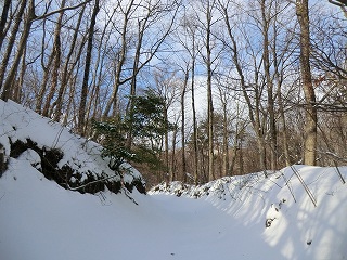 CIMG0853.jpg