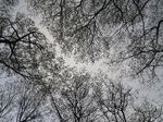 IMG_1071.jpg