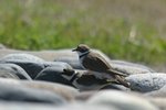 IMG_3852.JPG