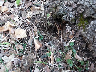 P1010558.jpg