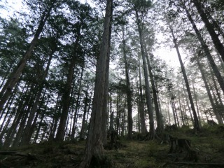 akasawa.jpg