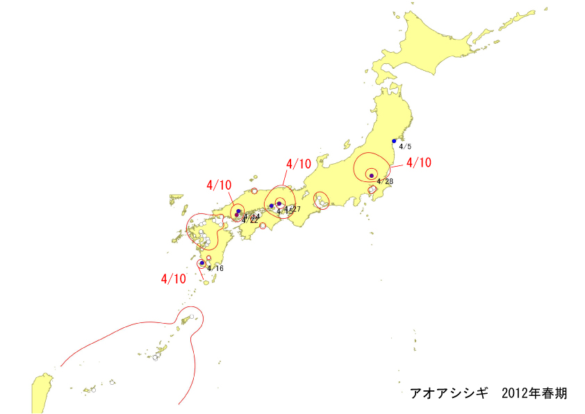 aoashi_springline.jpg