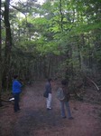 aokigahara1.jpg
