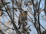 atori_120204.jpg
