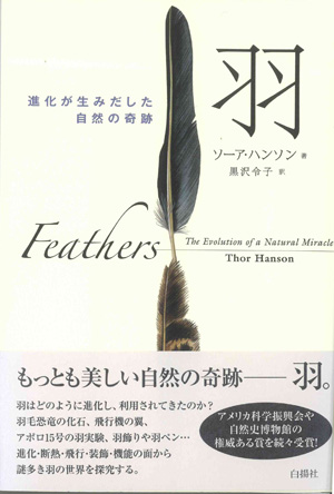 doc20130426130016_001.jpg