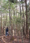 fuji20100509.jpg