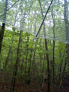 fuji20100523.jpg