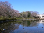 hukei_120408.JPG