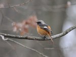 jyoubitaki_120324.jpg