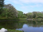 keshiki_120428.JPG