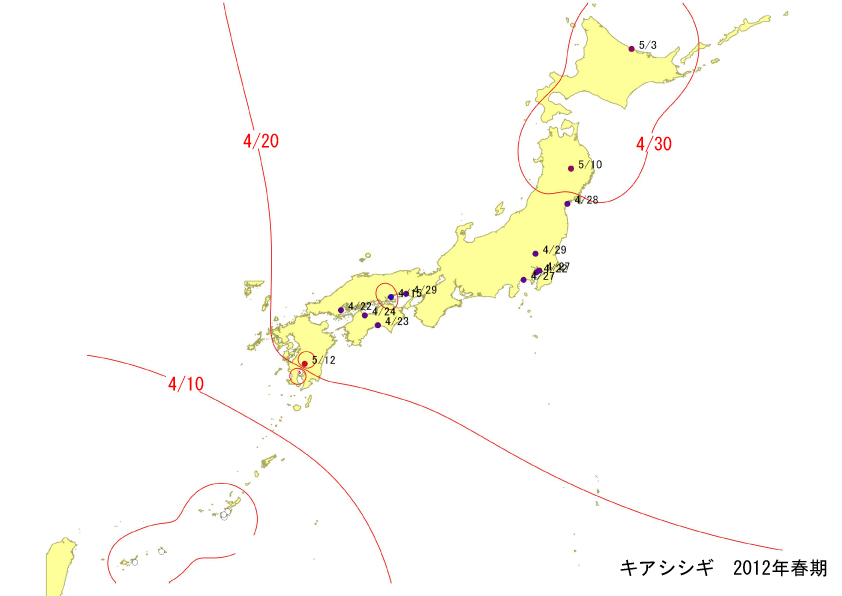 kiashi_springline.jpg