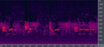kibitaki20100430.jpg