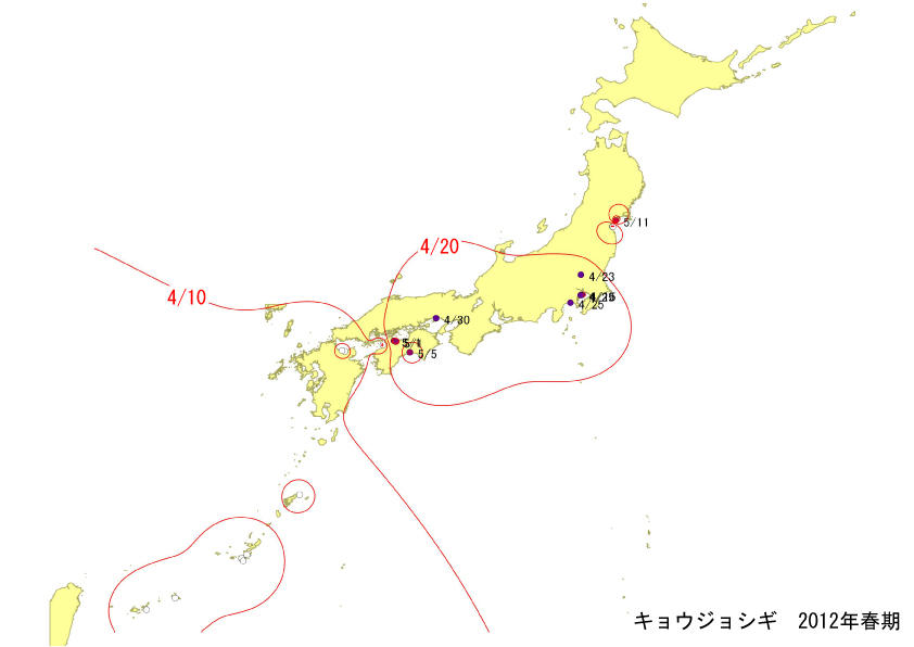 kyoujyo_springline.jpg