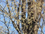 mansaku_120303.jpg