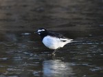 segurosekirei_120204.jpg