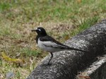 segurosekirei_130615.jpg