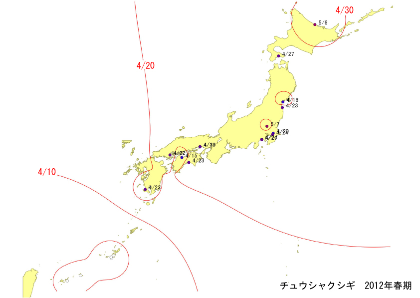 tyuusyaku_springLine.jpg