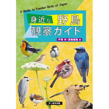 yatyou_kansatuguide.jpg